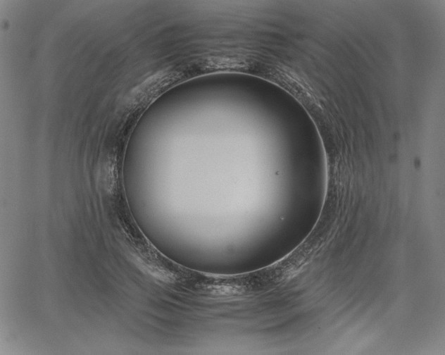 X0000067830741200604131200