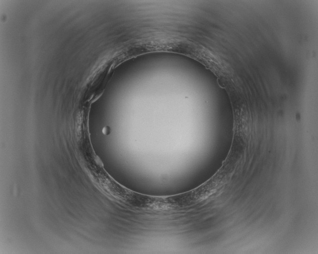 X0000067830742200604131200