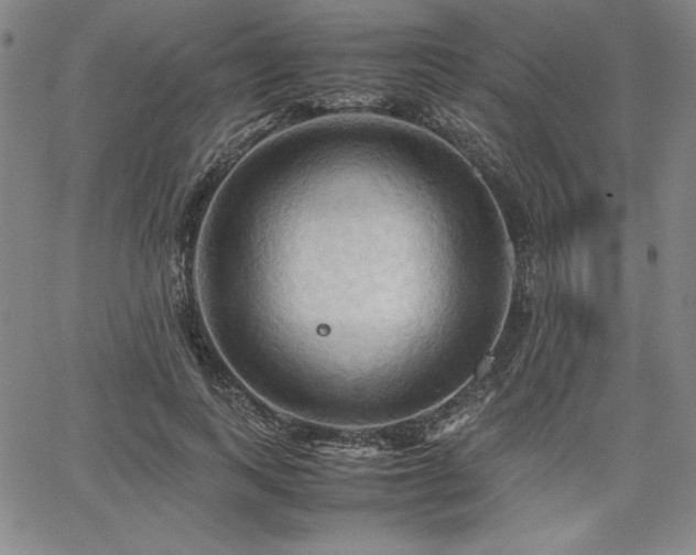 X0000067830743200604131200