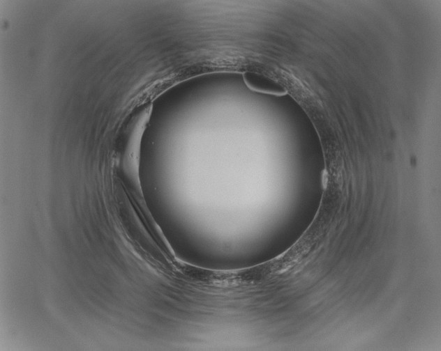 X0000067830744200604131200