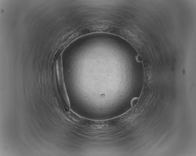 X0000067830745200604131200