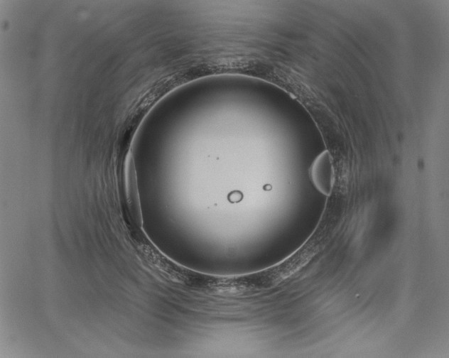 X0000067830746200604131200