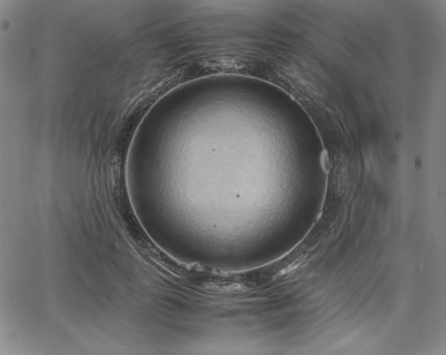 X0000067830747200604131200