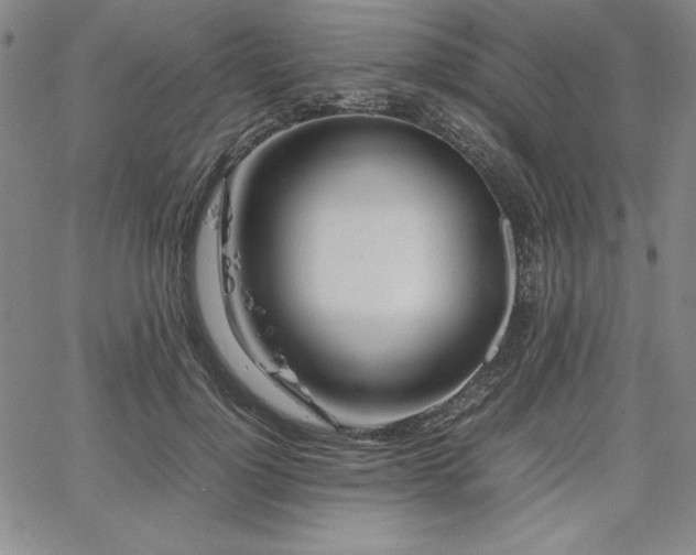 X0000067830748200604131200