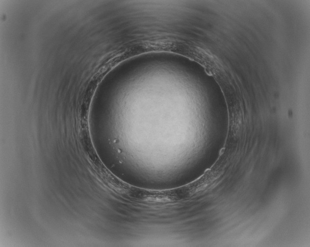 X0000067830749200604131200