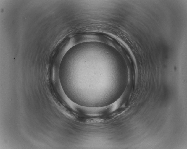 X0000067830750200604131200