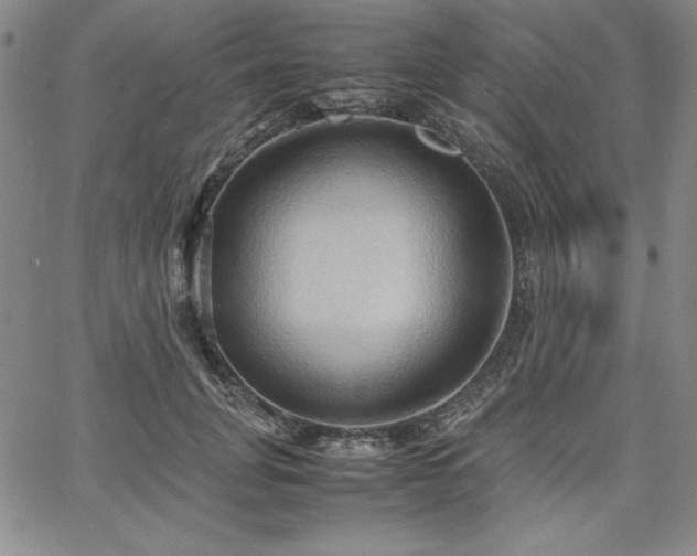 X0000067830751200604131200