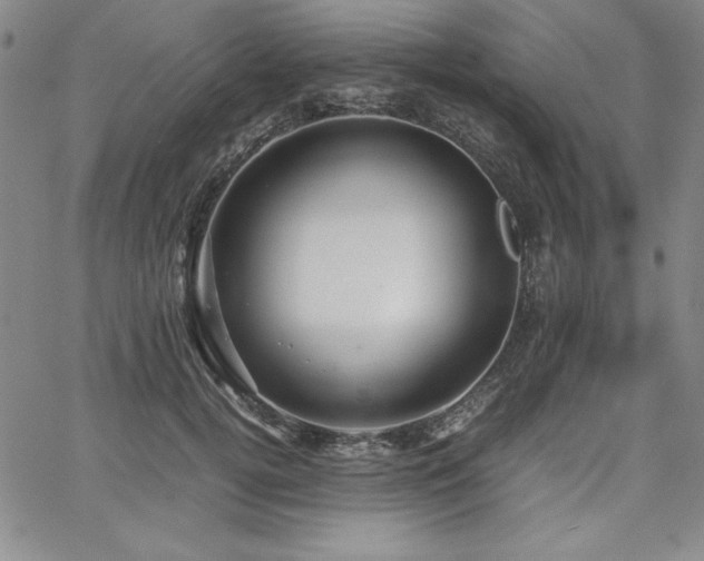 X0000067830752200604131200