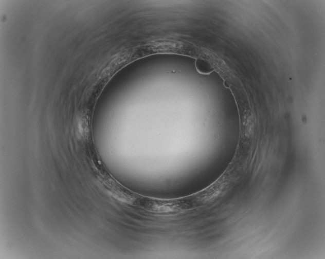 X0000067830753200604131200