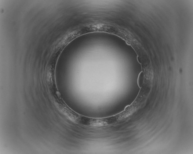 X0000067830754200604131200