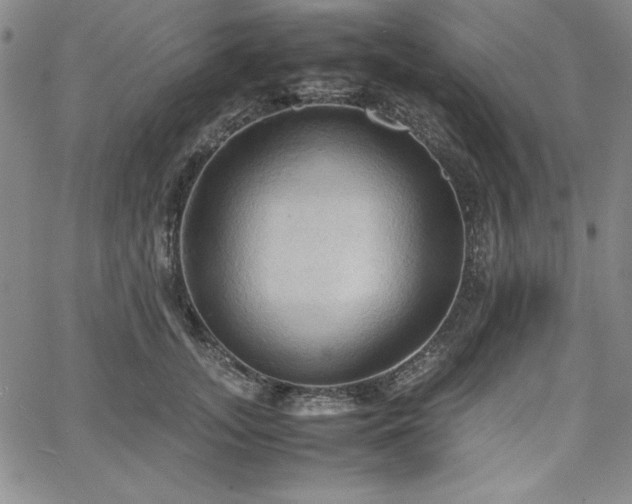 X0000067830755200604131200