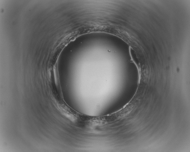 X0000067830756200604131201