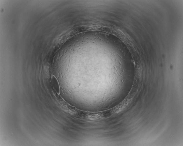 X0000067830757200604131201