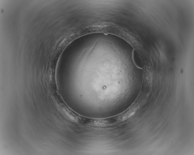 X0000067830758200604131201