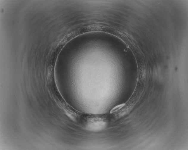 X0000067830759200604131201