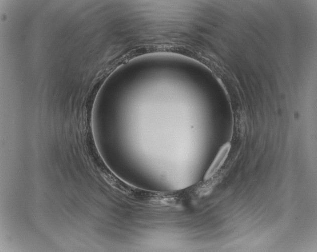 X0000067830760200604131201