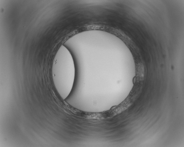 X0000067830761200604131201