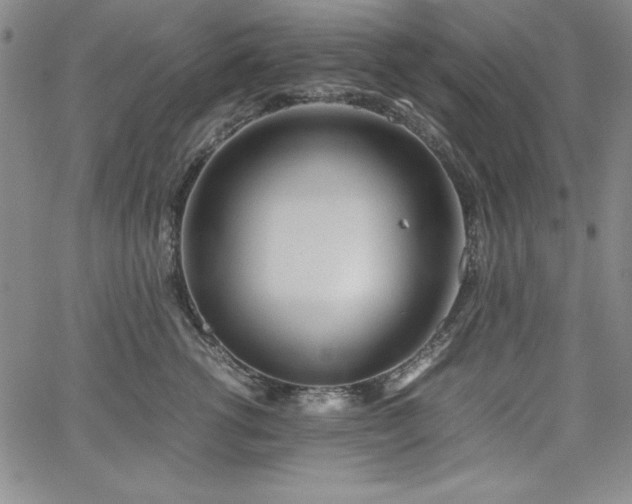 X0000067830762200604131201