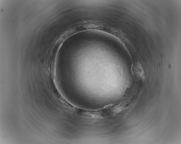 X0000067830763200604131201