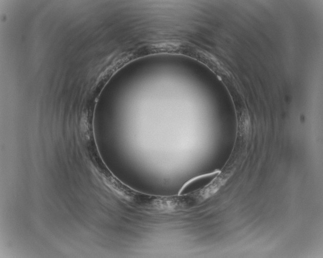 X0000067830764200604131201