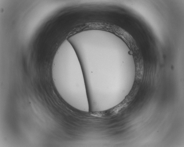 X0000067830765200604131201