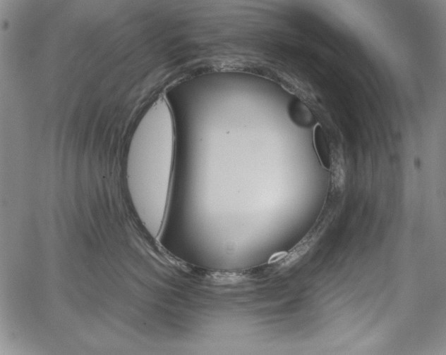 X0000067830766200604131201