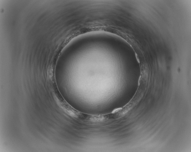 X0000067830767200604131201