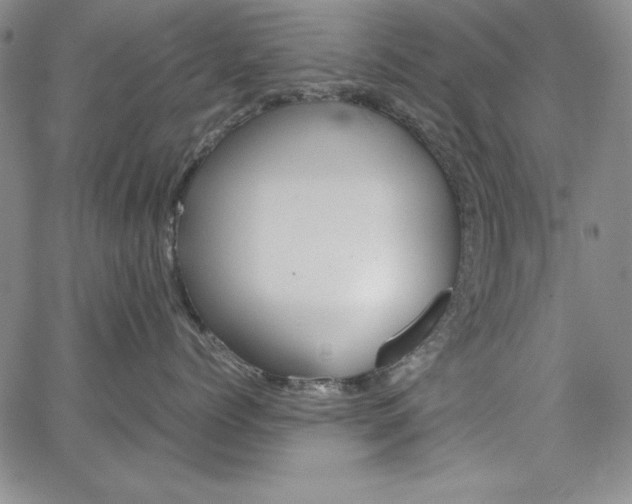 X0000067830768200604131201