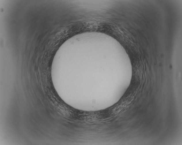 X0000067830769200604131200