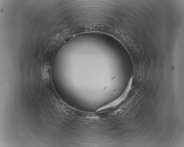 X0000067830770200604131200