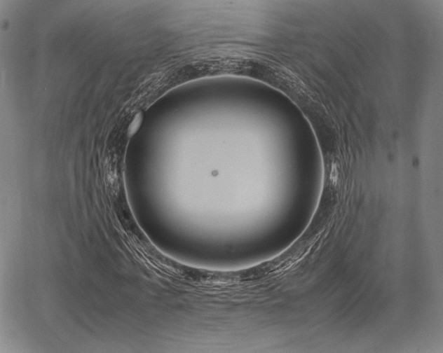 X0000067830771200604131200