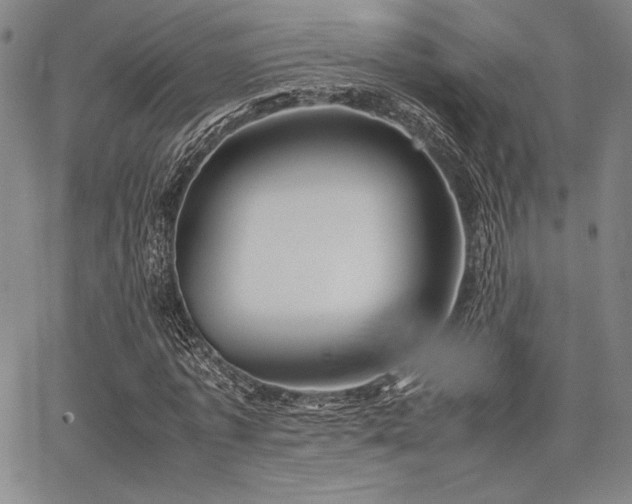 X0000067830773200604131200