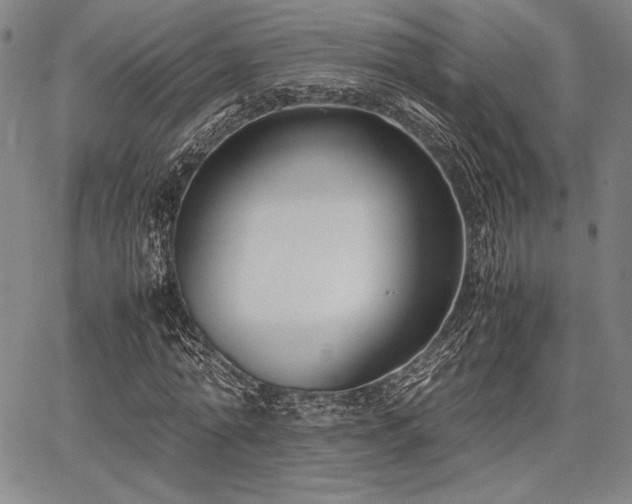 X0000067830774200604131200