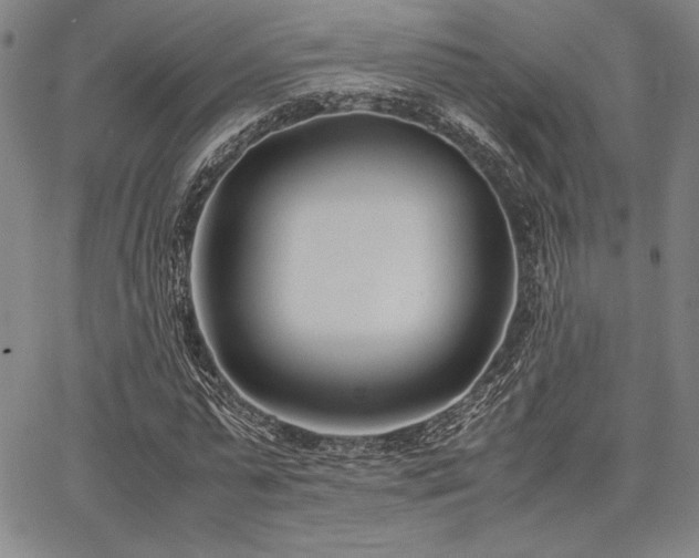 X0000067830775200604131200