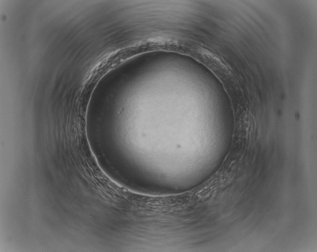 X0000067830776200604131200