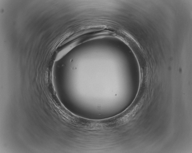 X0000067830777200604131200