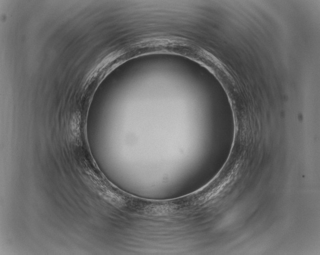 X0000067830778200604131200