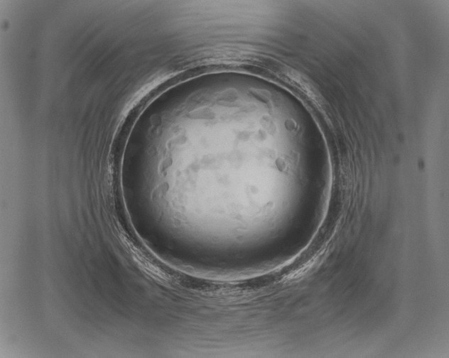 X0000067830779200604131200