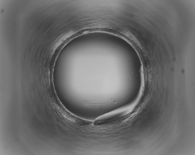 X0000067830781200604131200