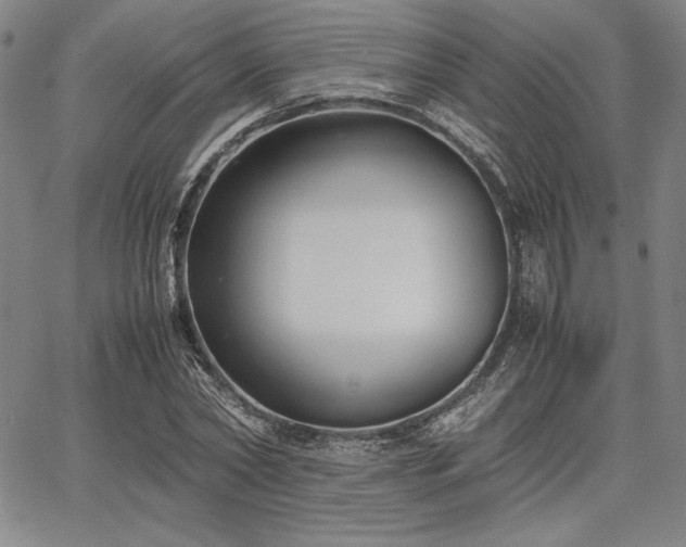 X0000067830782200604131200