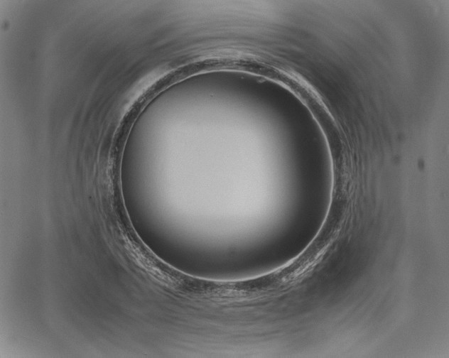 X0000067830783200604131200