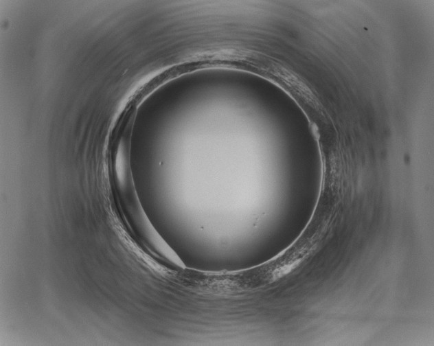 X0000067830784200604131200