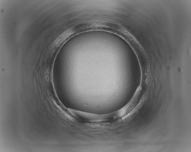 X0000067830785200604131200