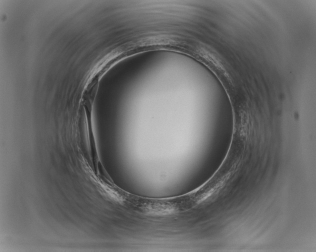 X0000067830786200604131200