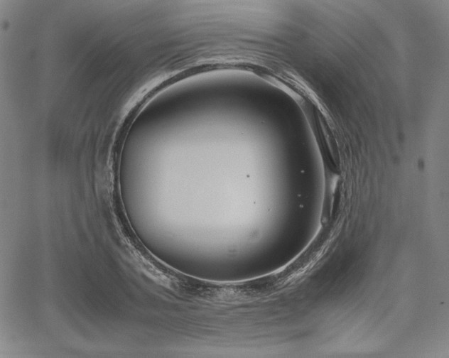 X0000067830787200604131200