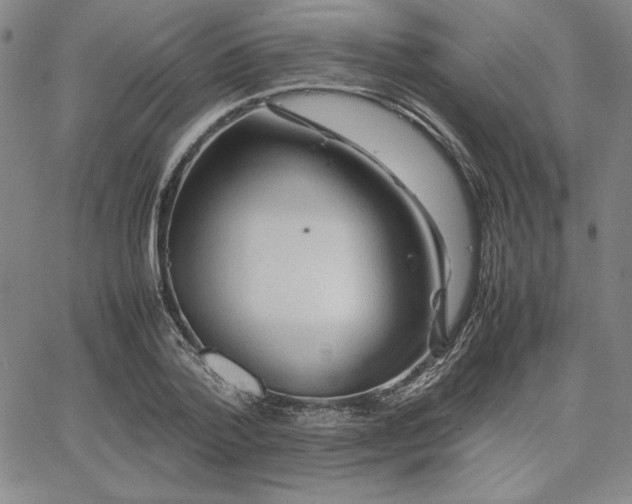 X0000067830788200604131200