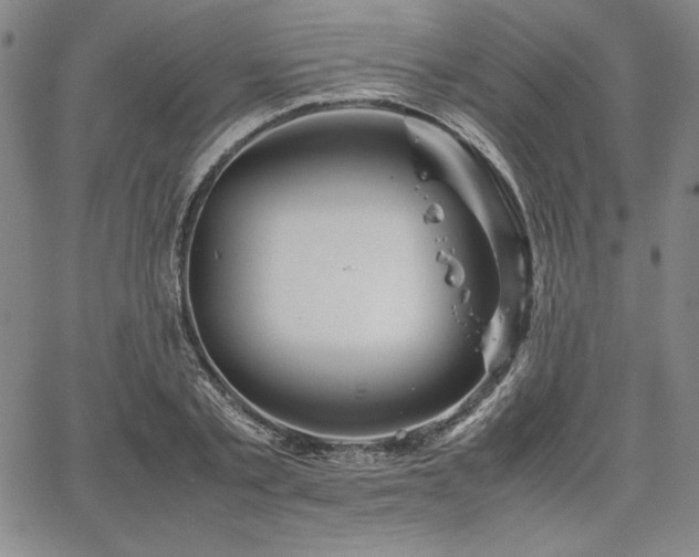 X0000067830789200604131200