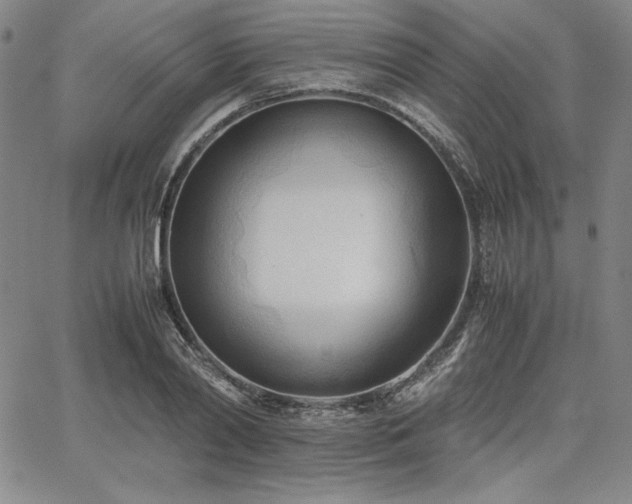 X0000067830790200604131200