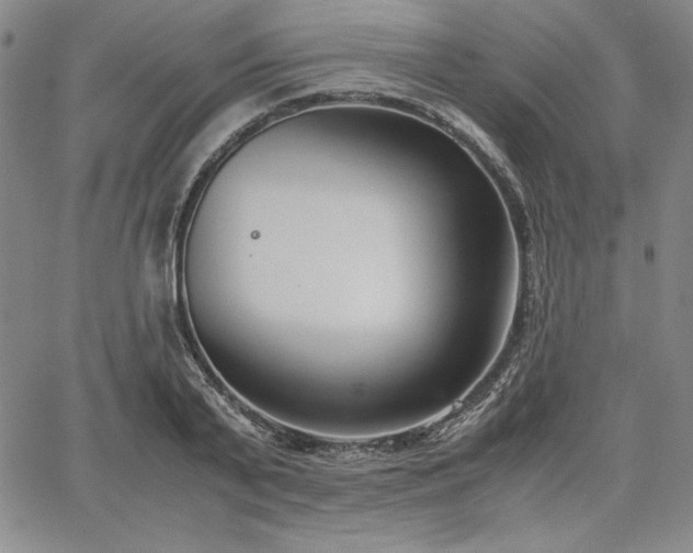 X0000067830791200604131200