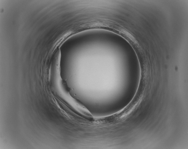 X0000067830793200604131200